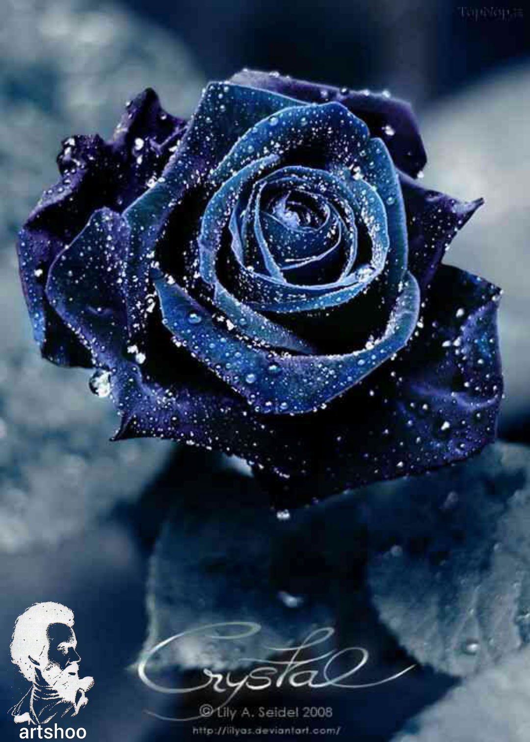 گل اورژینال رنگ روغن